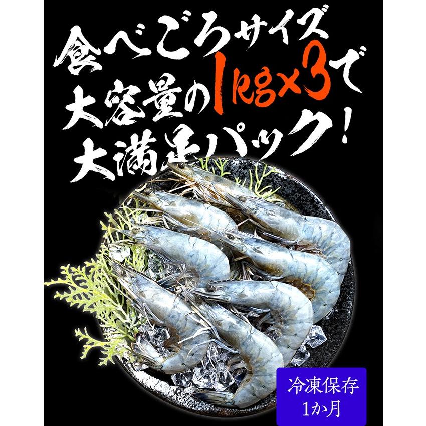天使の海老 大サイズ3kg 海鮮 有頭 食べごろサイズ お取り寄せ お試し 世界最高品質 刺身 生食 高級 歳末 お歳暮 年末グルメ 贈答 迎春 | おさかな問屋 魚奏 | 11