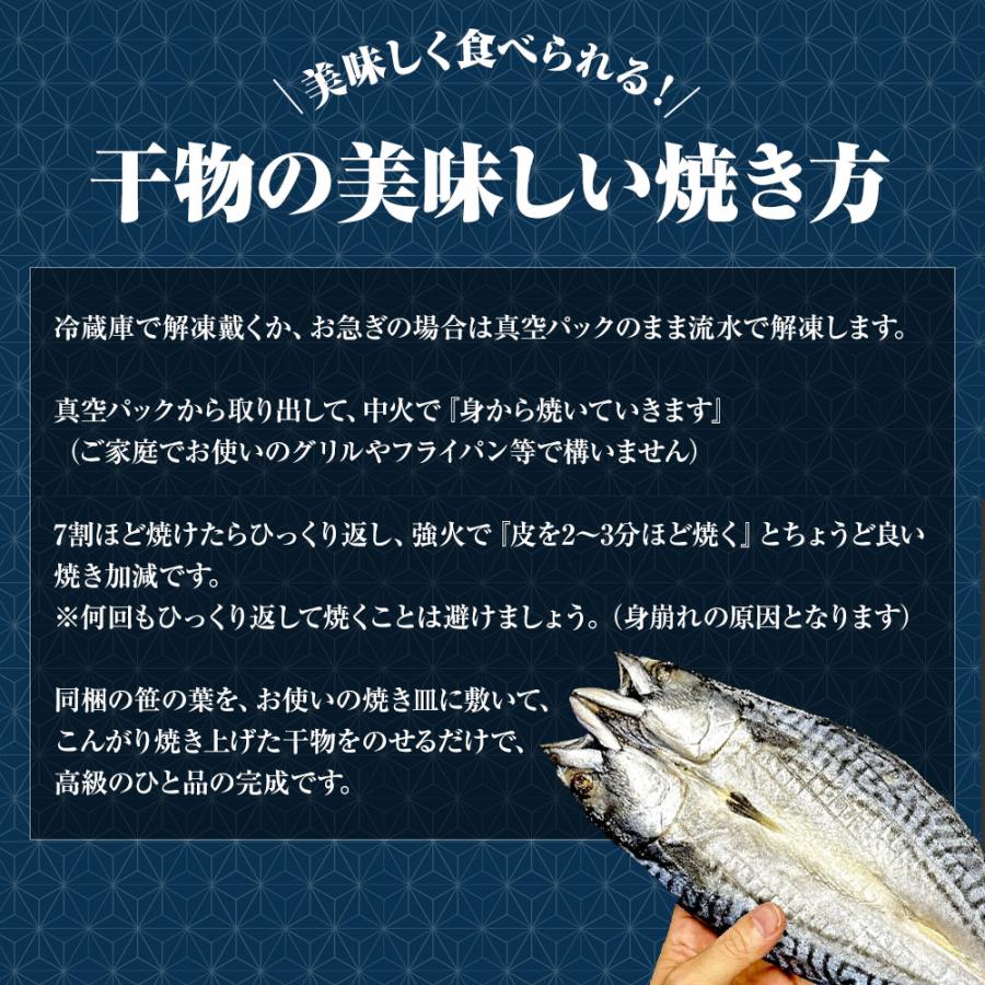 特選さば開き 2枚（1尾約280ｇ×2）1枚真空 笹の葉入りトロさば サバ開きさば サバ 鯖 一夜干し 干物 歳末 お歳暮 年末グルメ 贈答 迎春 | おさかな問屋 魚奏 | 10