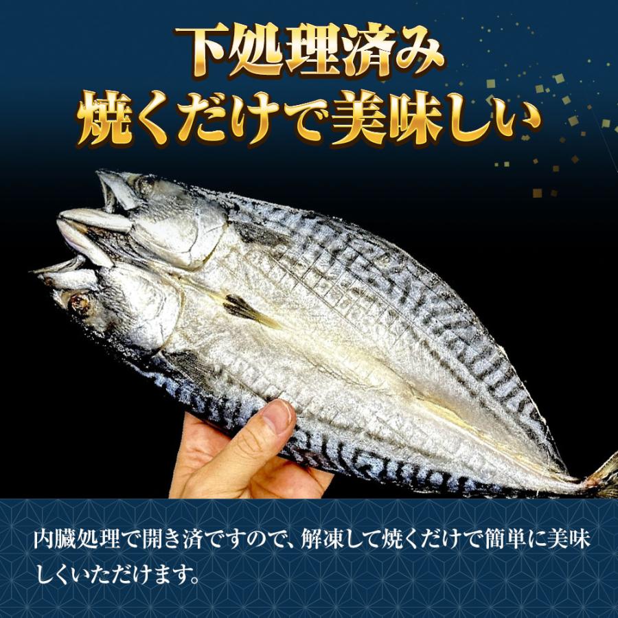 特選さば開き 2枚（1尾約280ｇ×2）1枚真空 笹の葉入りトロさば サバ開きさば サバ 鯖 一夜干し 干物 歳末 お歳暮 年末グルメ 贈答 迎春 | おさかな問屋 魚奏 | 05