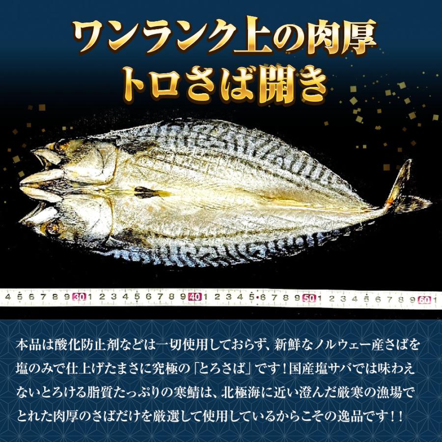 特選さば開き 1枚 約280ｇ1枚真空 笹の葉入りトロさば サバ開きさば サバ 鯖 一夜干し 干物 トロさば 歳末 お歳暮 年末グルメ 贈答 迎春 | おさかな問屋 魚奏 | 03