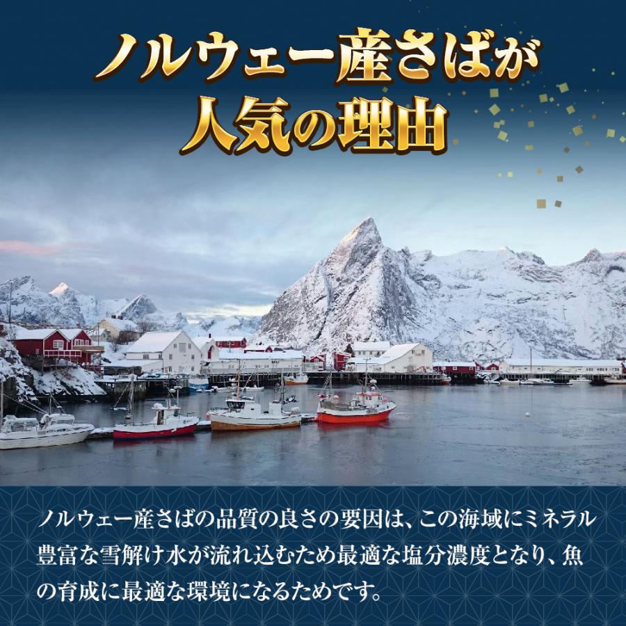 特選さば開き 1枚 約280ｇ1枚真空 笹の葉入りトロさば サバ開きさば サバ 鯖 一夜干し 干物 トロさば 歳末 お歳暮 年末グルメ 贈答 迎春 | おさかな問屋 魚奏 | 04