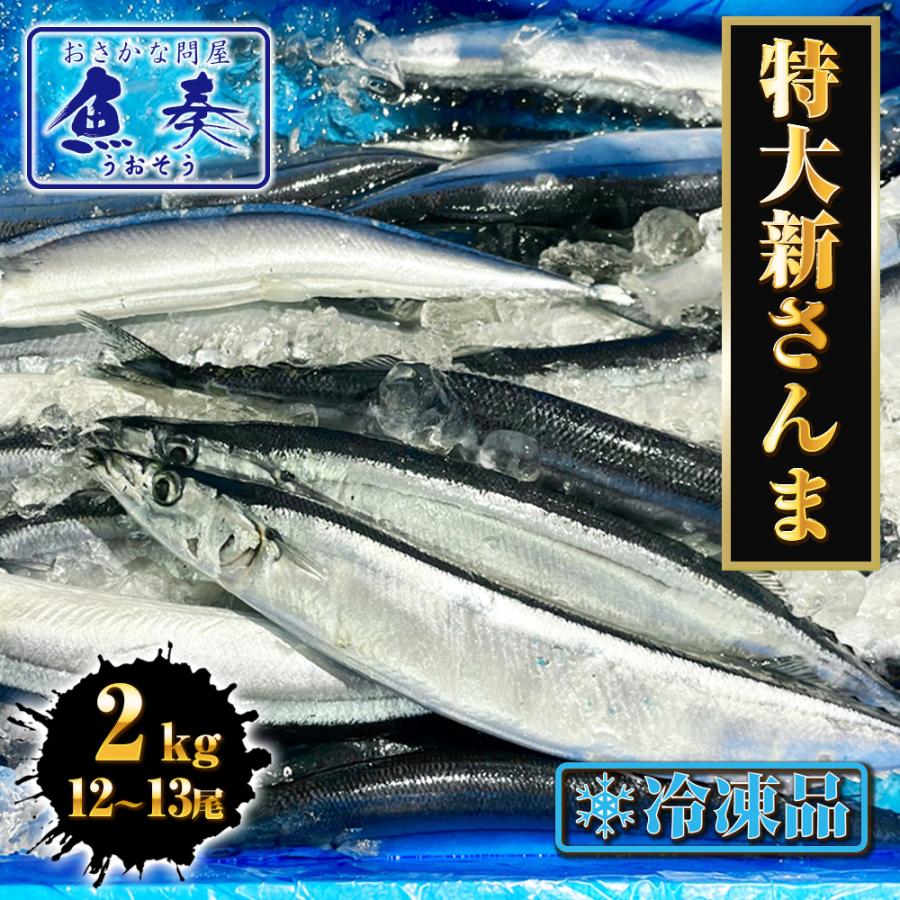 お魚さん専用 さかなさん専用 さかなさん 専用 さかなさん専用 ZX太刀魚 | 株式会社