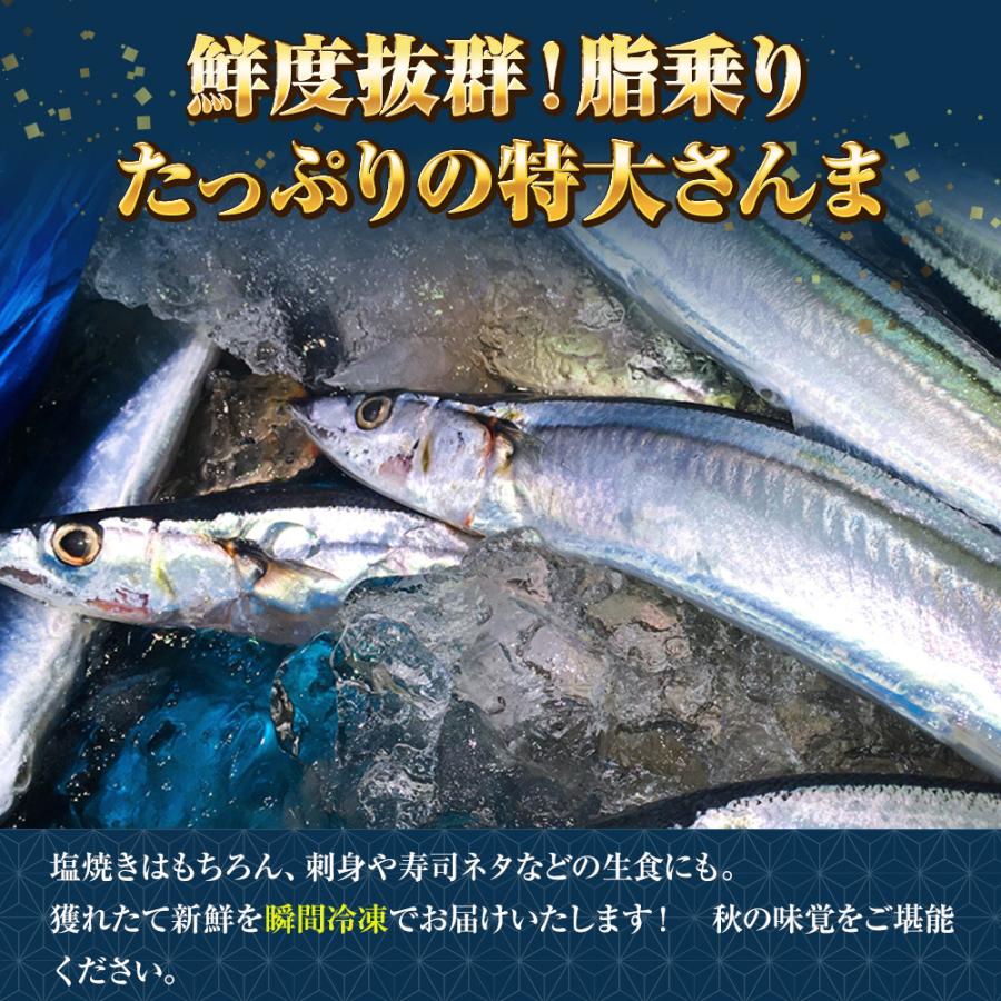 特大生冷凍さんま 2kg（12/13尾） 送料無料 生食可能 さんま サンマ 秋刀魚 北海道 → 三陸 歳末 お歳暮 年末グルメ 贈答 迎春 | おさかな問屋 魚奏 | 04