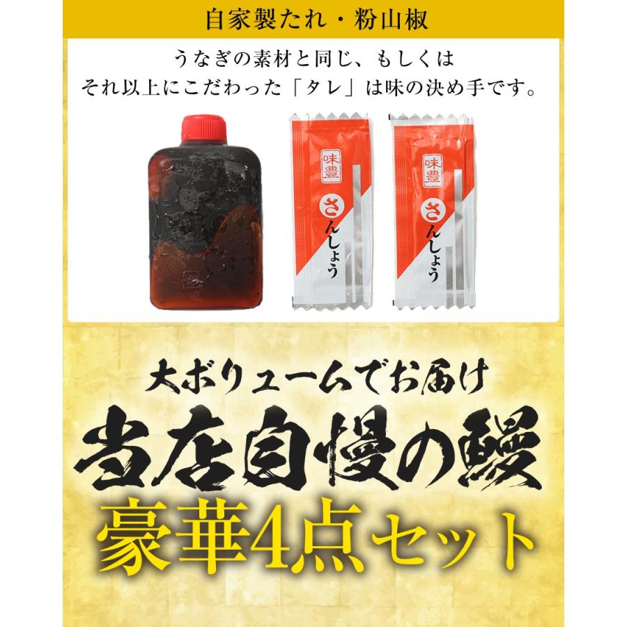 薩摩川内 国産 うなぎ蒲焼 詰合せ セット うなぎ ウナギ 鰻 活鰻 活うなぎ 養殖 土用丑の日 鹿児島 歳末 お歳暮 年末グルメ 贈答 迎春 | おさかな問屋 魚奏 | 14