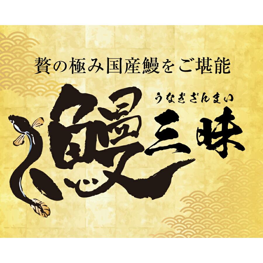 薩摩川内 国産 うなぎ蒲焼 詰合せ セット うなぎ ウナギ 鰻 活鰻 活うなぎ 養殖 土用丑の日 鹿児島 歳末 お歳暮 年末グルメ 贈答 迎春 | おさかな問屋 魚奏 | 01