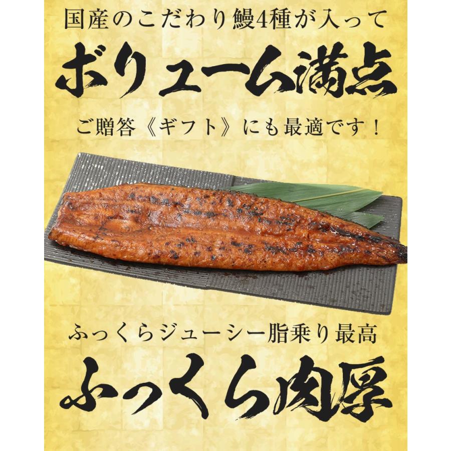 薩摩川内 国産 うなぎ蒲焼 詰合せ セット うなぎ ウナギ 鰻 活鰻 活うなぎ 養殖 土用丑の日 鹿児島 歳末 お歳暮 年末グルメ 贈答 迎春 | おさかな問屋 魚奏 | 05
