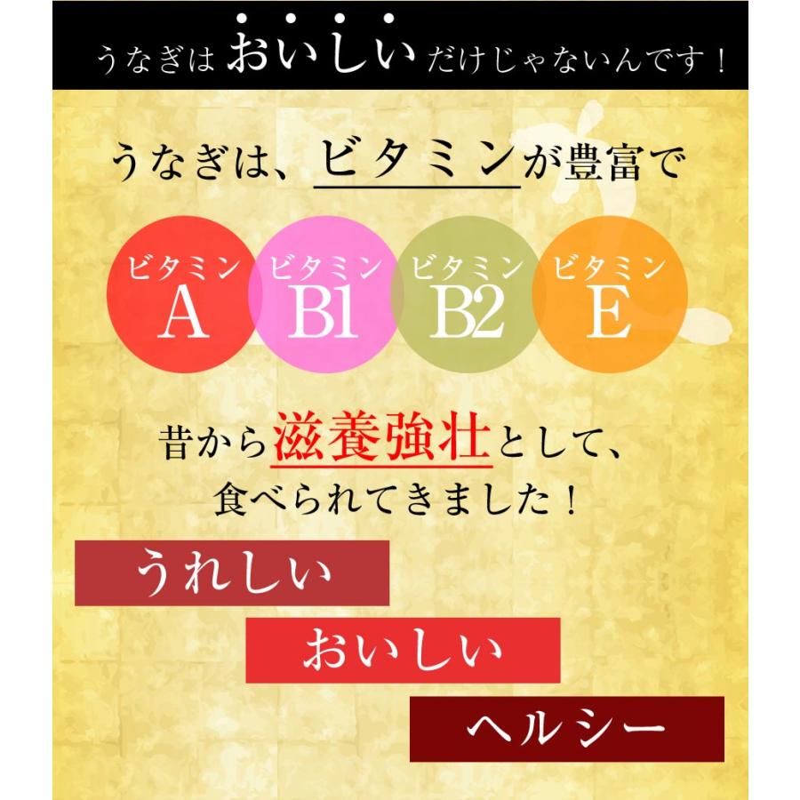 薩摩川内 国産 うなぎ蒲焼 詰合せ セット うなぎ ウナギ 鰻 活鰻 活うなぎ 養殖 土用丑の日 鹿児島 歳末 お歳暮 年末グルメ 贈答 迎春 | おさかな問屋 魚奏 | 08
