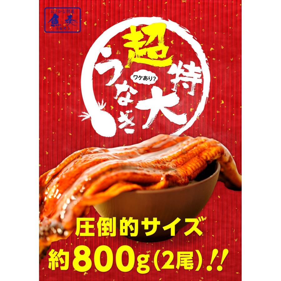 うなぎ長焼 380g〜400g×2本 炭火焼 訳あり 超ビッグサイズ ウナギ 鰻 在宅 父の日 敬老 歳末 お歳暮 年末グルメ 贈答 迎春 | おさかな問屋 魚奏 | 01