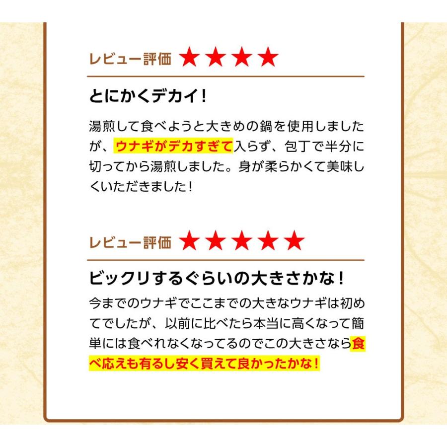 うなぎ長焼 380g〜400g×2本 炭火焼 訳あり 超ビッグサイズ ウナギ 鰻 在宅 父の日 敬老 歳末 お歳暮 年末グルメ 贈答 迎春 | おさかな問屋 魚奏 | 11