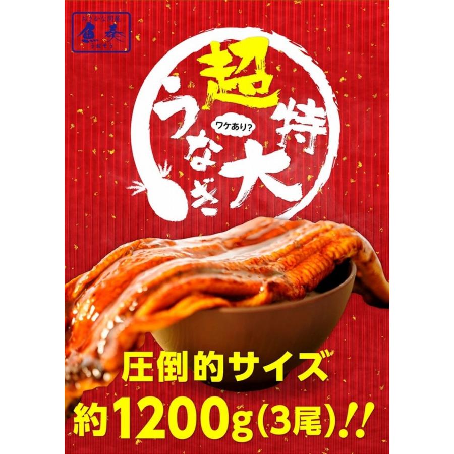 超特大 うなぎ蒲焼 3尾 長焼 約1.2kg（380g〜400g×3本 ） 訳あり 蒲焼 ウナギ 鰻 母の日 歳末 お歳暮 年末グルメ 贈答 迎春 | おさかな問屋 魚奏 | 01