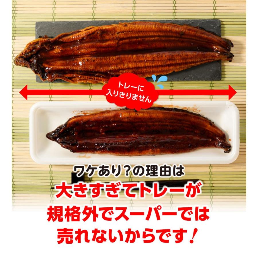 お中元 ギフト うなぎ ウナギ 鰻 特大うなぎ蒲焼 3尾 長焼 訳あり 超特大 約1 2kg 380g 400g 3本 超ビッグサイズ 蒲焼 母の日 父の日 土用丑 取り寄せ 19003 3 おさかな問屋 魚奏 通販 Yahoo ショッピング