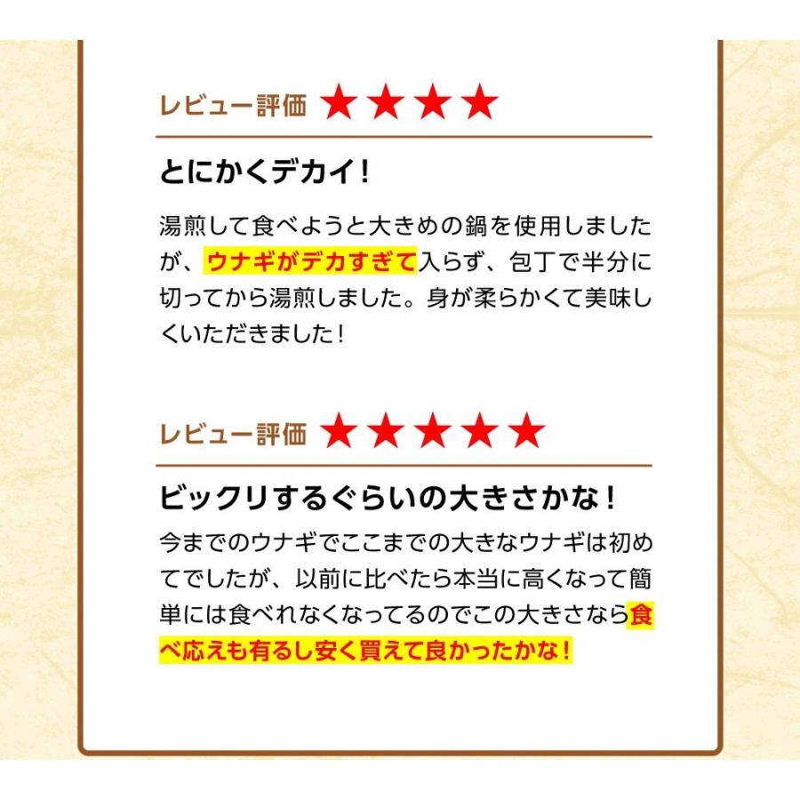 超特大 うなぎ蒲焼 3尾 長焼 約1.2kg 380g〜400g×3本 訳あり 蒲焼 ウナギ 鰻 母の日 歳末 お歳暮 年末グルメ 贈答 迎春 | おさかな問屋 魚奏 | 11