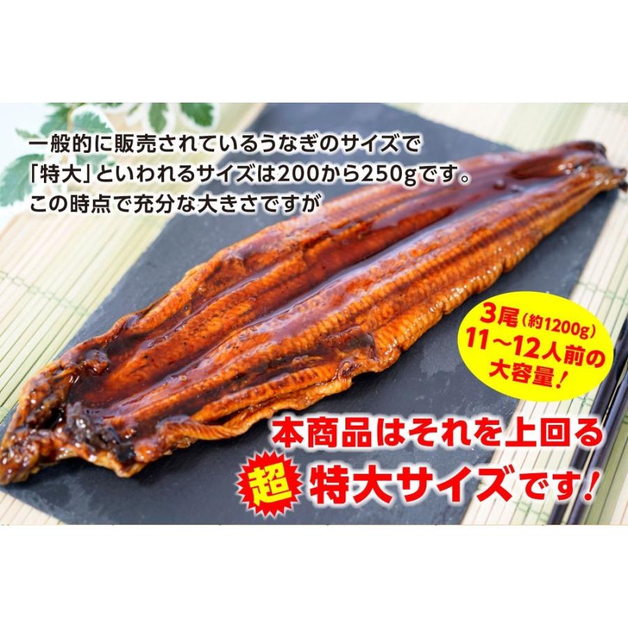 超特大 うなぎ蒲焼 3尾 長焼 約1.2kg 380g〜400g×3本 訳あり 蒲焼 ウナギ 鰻 母の日 歳末 お歳暮 年末グルメ 贈答 迎春 | おさかな問屋 魚奏 | 02