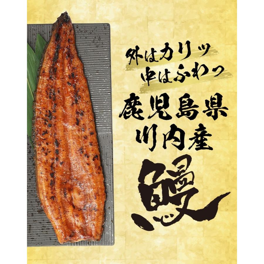 薩摩川内 国産炭火焼うなぎ長焼き 徳大サイズ 約160g〜170g 国産うなぎ 在宅 母の日 父の日 敬老 歳末 お歳暮 年末グルメ 贈答 迎春 | おさかな問屋 魚奏 | 02