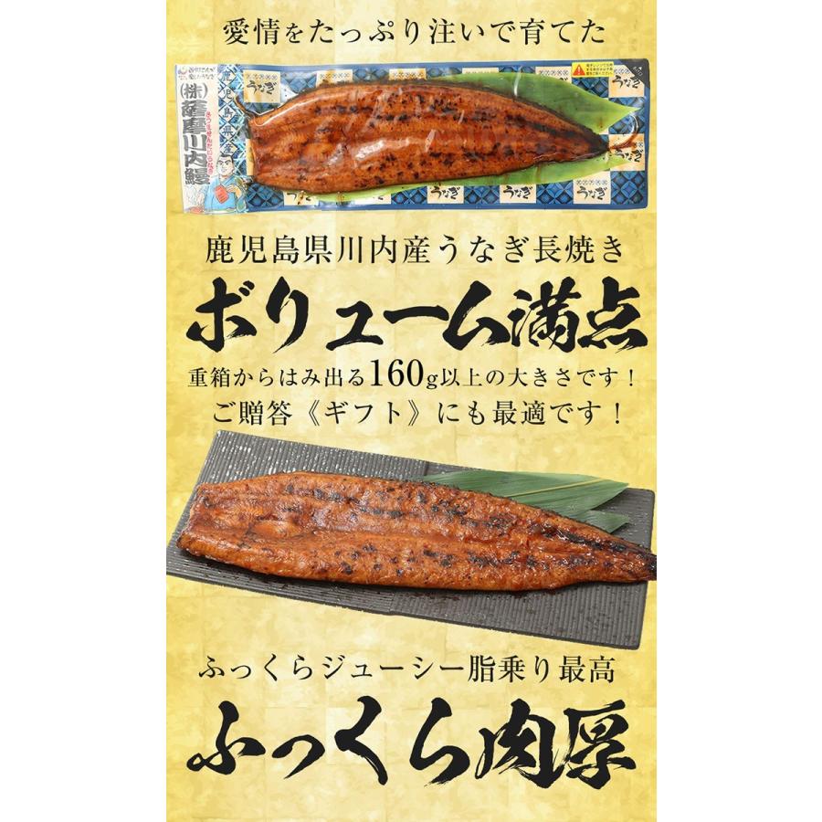 薩摩川内 国産炭火焼うなぎ長焼き 徳大サイズ 約160g〜170g 国産うなぎ 在宅 母の日 父の日 敬老 歳末 お歳暮 年末グルメ 贈答 迎春 | おさかな問屋 魚奏 | 03