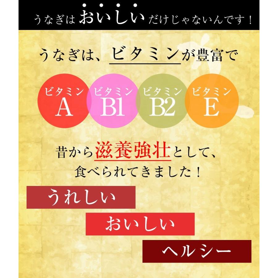 薩摩川内 国産炭火焼うなぎ長焼き 徳大サイズ 約160g〜170g 国産うなぎ 在宅 母の日 父の日 敬老 歳末 お歳暮 年末グルメ 贈答 迎春 | おさかな問屋 魚奏 | 05