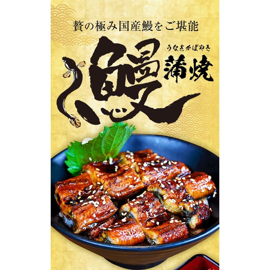 薩摩川内 国産炭火焼カットうなぎ蒲焼き 約80g×5パック 国産うなぎ 在宅 母の日 父の日 敬老 在宅応援 歳末 お歳暮 年末グルメ 贈答 迎春 | おさかな問屋 魚奏 | 01