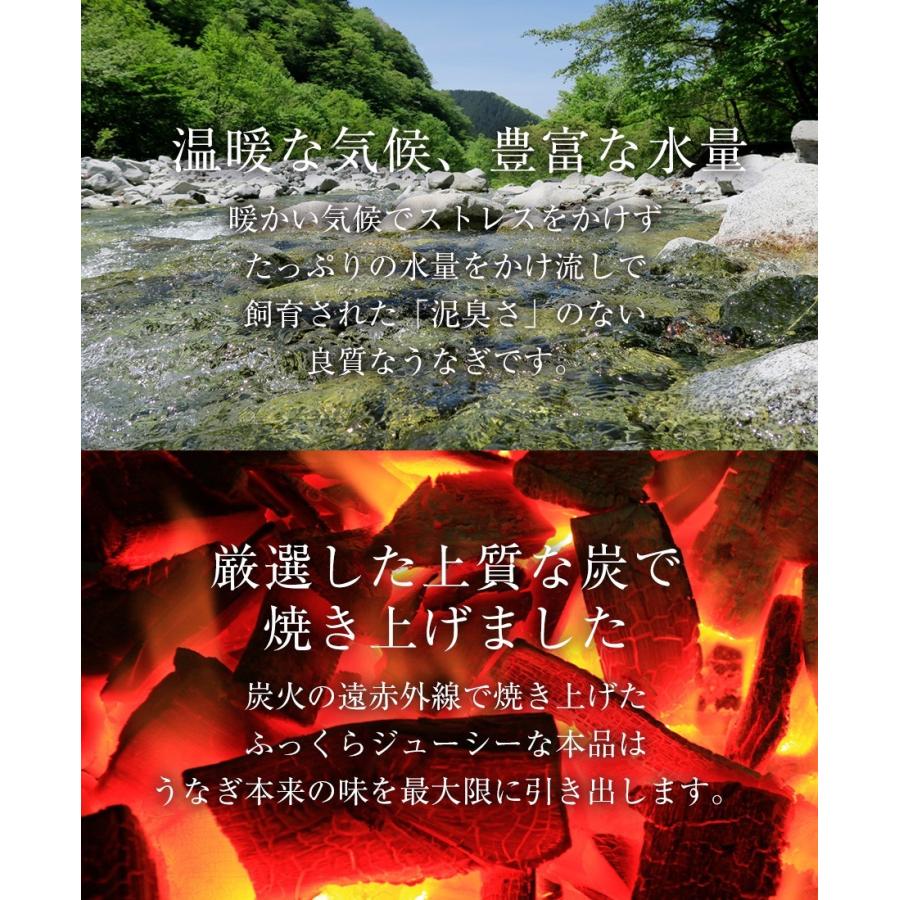 薩摩川内 国産炭火焼カットうなぎ蒲焼き 約80g×5パック 国産うなぎ 在宅 母の日 父の日 敬老 在宅応援 歳末 お歳暮 年末グルメ 贈答 迎春 | おさかな問屋 魚奏 | 11