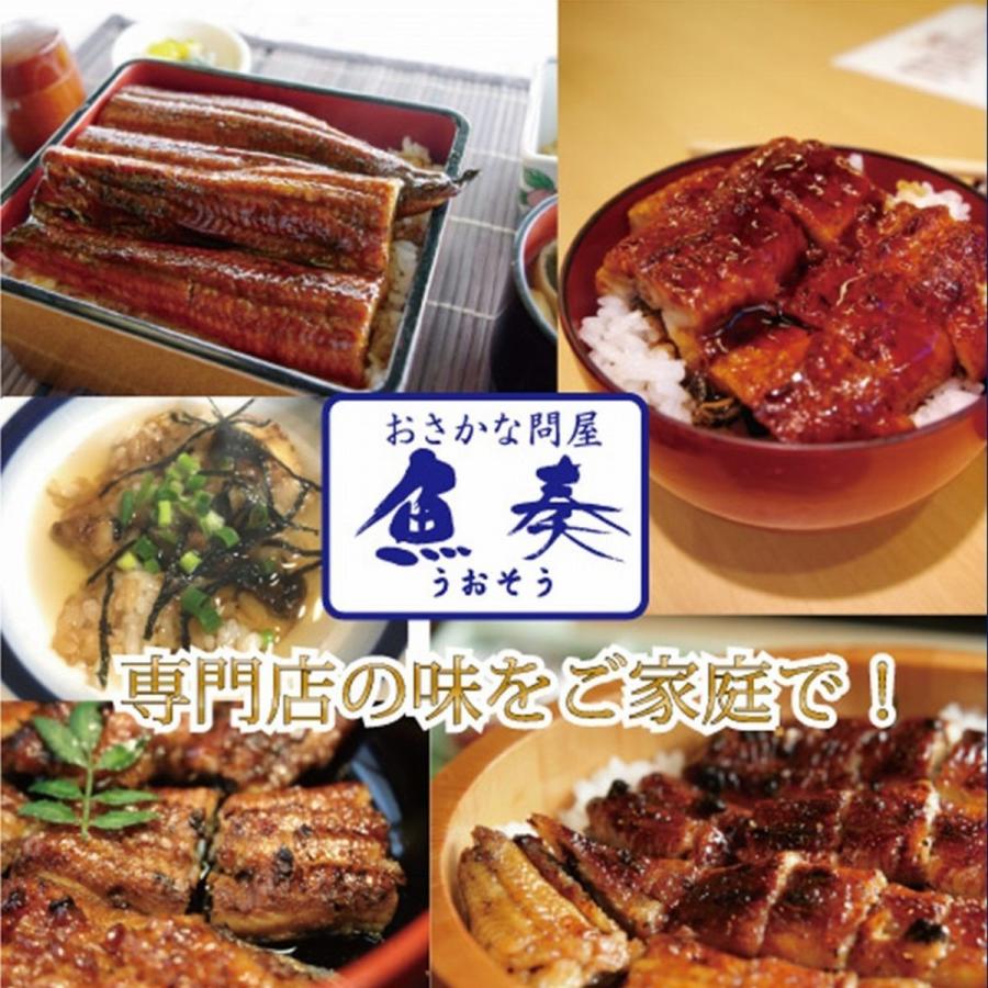 うなぎ長焼 大サイズ 炭火焼 200g×5尾 ウナギ 鰻 蒲焼 メガ盛り 真空パック 土用 丑の日 化粧箱 歳末 お歳暮 年末グルメ 贈答 迎春 | おさかな問屋 魚奏 | 04