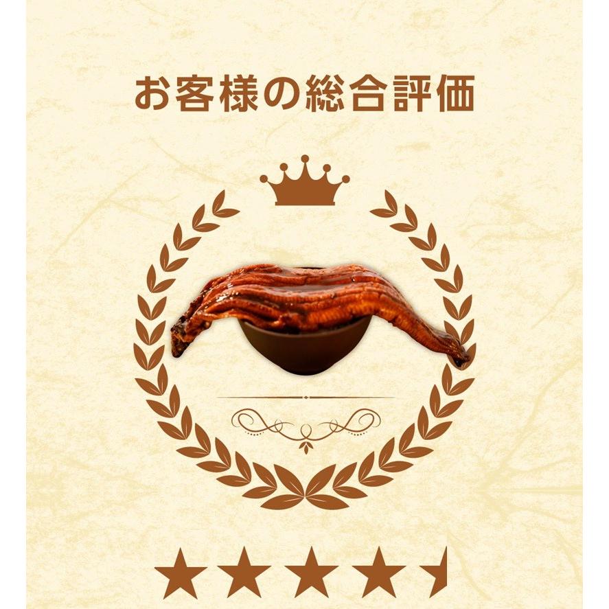 うなぎ蒲焼 切身カット 100g×5P 中国産 訳あり 真空パック 土用丑の日 ウナギ 鰻 母の日 父の日 歳末 お歳暮 年末グルメ 贈答 迎春 | おさかな問屋 魚奏 | 05