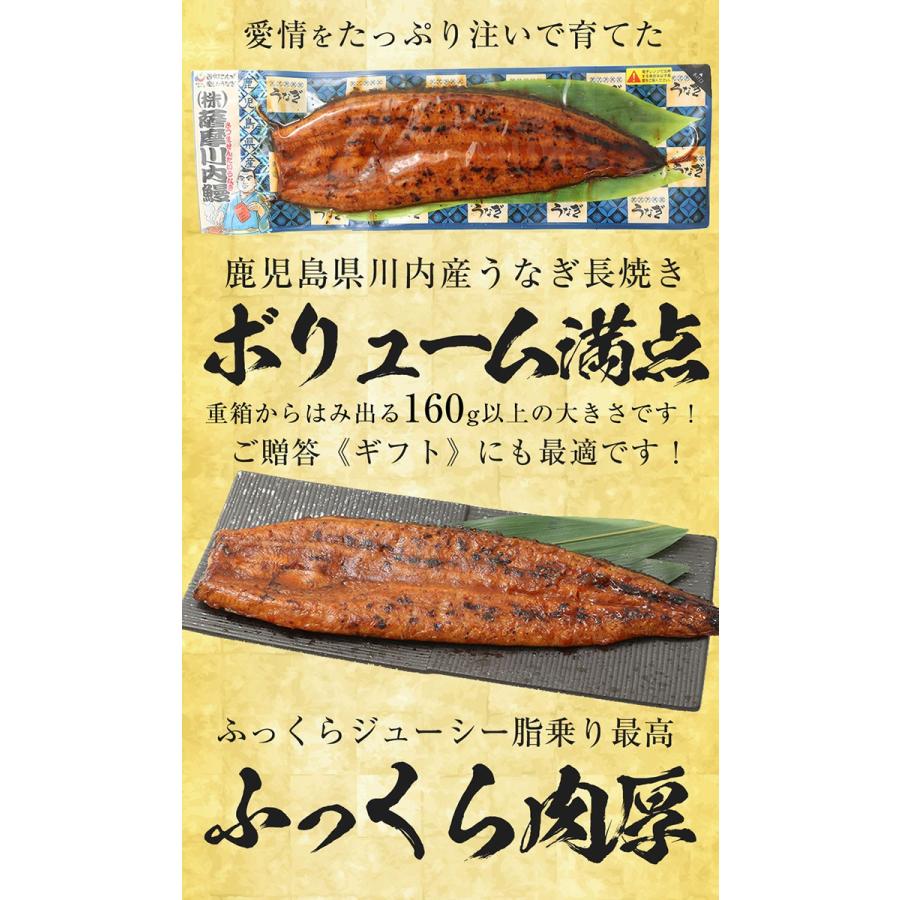 薩摩川内 国産炭火焼うなぎ長焼き 徳大サイズ 約160g〜170g×2尾 国産うなぎ 在宅 母の日 父の日 歳末 お歳暮 年末グルメ 贈答 迎春 | おさかな問屋 魚奏 | 03