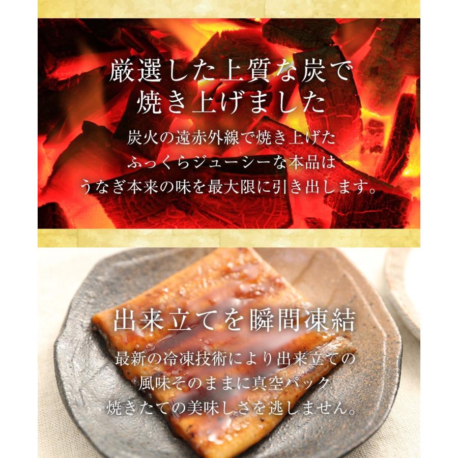 薩摩川内 国産炭火焼うなぎ長焼き 徳大サイズ 約160g〜170g×2尾 国産うなぎ 在宅 母の日 父の日 歳末 お歳暮 年末グルメ 贈答 迎春 | おさかな問屋 魚奏 | 08