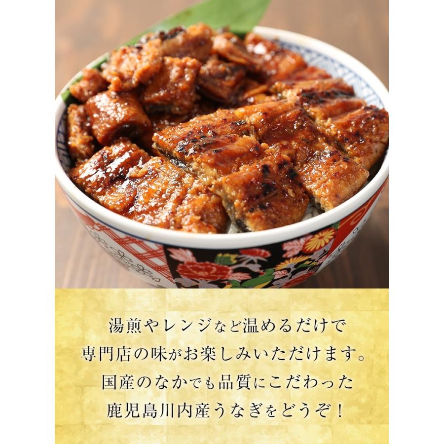 薩摩川内 国産炭火焼うなぎ長焼き 徳大サイズ 約160〜170g×3尾 国産うなぎ 在宅 母の日 父の日 敬老 歳末 お歳暮 年末グルメ 贈答 迎春 | おさかな問屋 魚奏 | 06