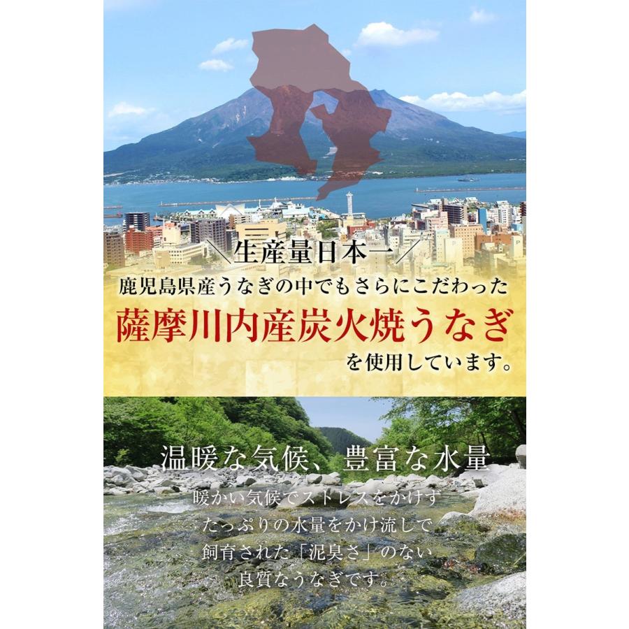 薩摩川内 国産炭火焼うなぎ長焼き 徳大サイズ 約160〜170g×3尾 国産うなぎ 在宅 母の日 父の日 敬老 歳末 お歳暮 年末グルメ 贈答 迎春 | おさかな問屋 魚奏 | 07