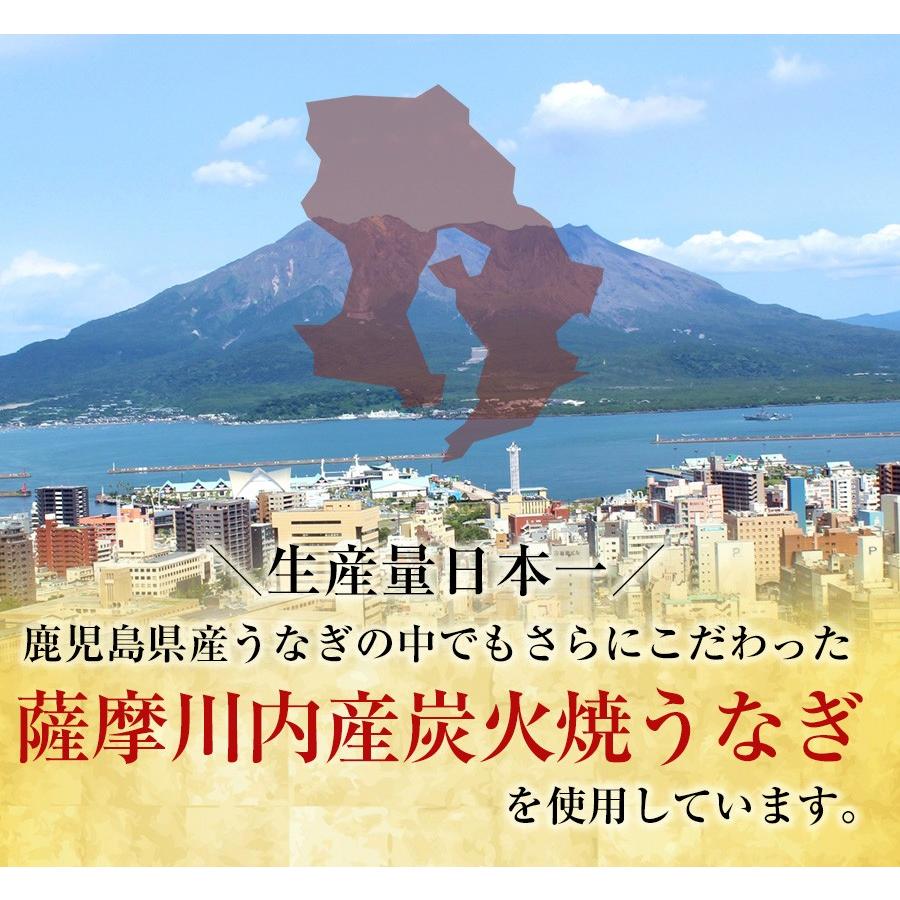 薩摩川内 国産炭火焼 刻みうなぎ蒲焼き 80g ひつまぶし 国産うなぎ 在宅 母の日 父の日 敬老 在宅応援 歳末 お歳暮 年末グルメ 贈答 迎春 | おさかな問屋 魚奏 | 10