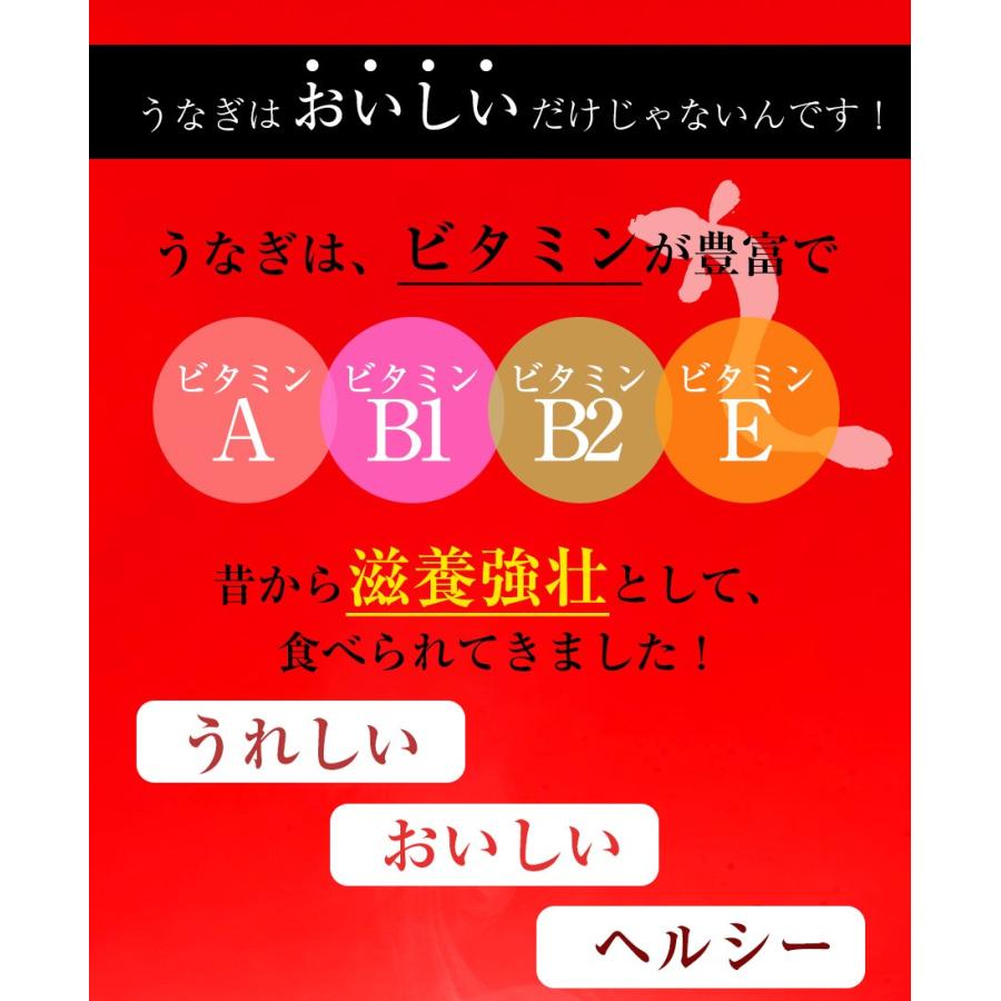 薩摩川内 国産炭火焼 刻みうなぎ蒲焼き 80g ひつまぶし 国産うなぎ 在宅 母の日 父の日 敬老 在宅応援 歳末 お歳暮 年末グルメ 贈答 迎春 | おさかな問屋 魚奏 | 06