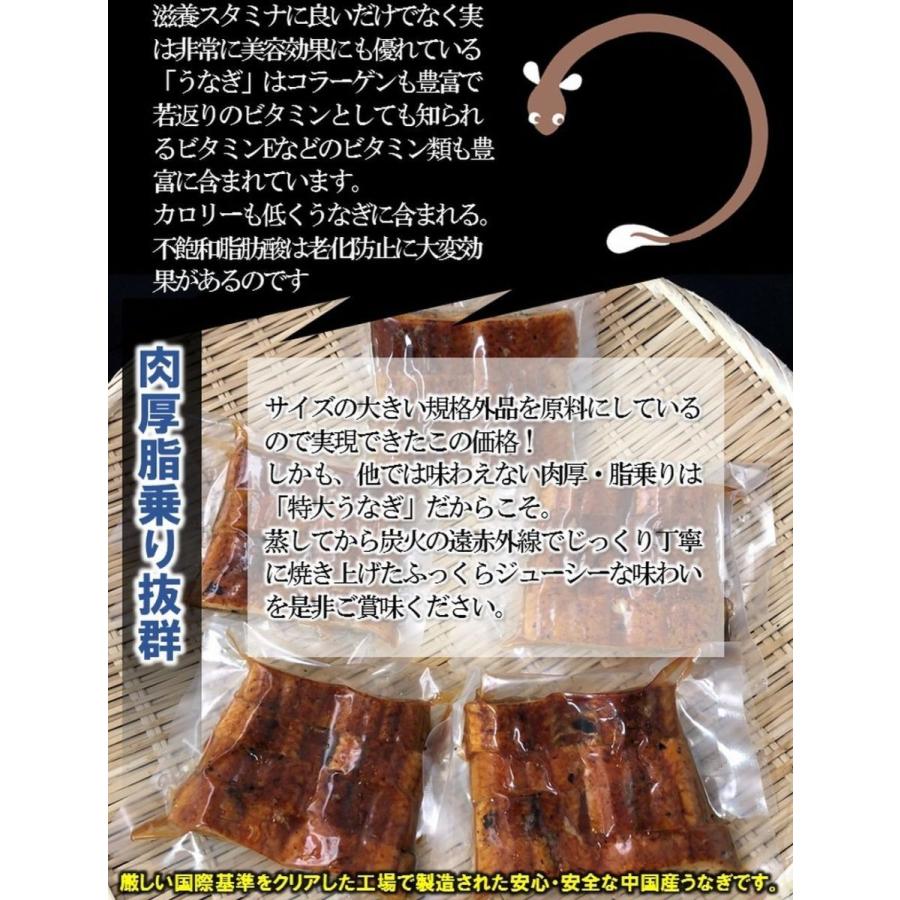 うなぎ蒲焼 切身カット 100g×5P 訳あり 真空パック 自社加工 土用 丑の日 ギフト うなぎ ウナギ 鰻 歳末 お歳暮 年末グルメ 贈答 迎春 | おさかな問屋 魚奏 | 02