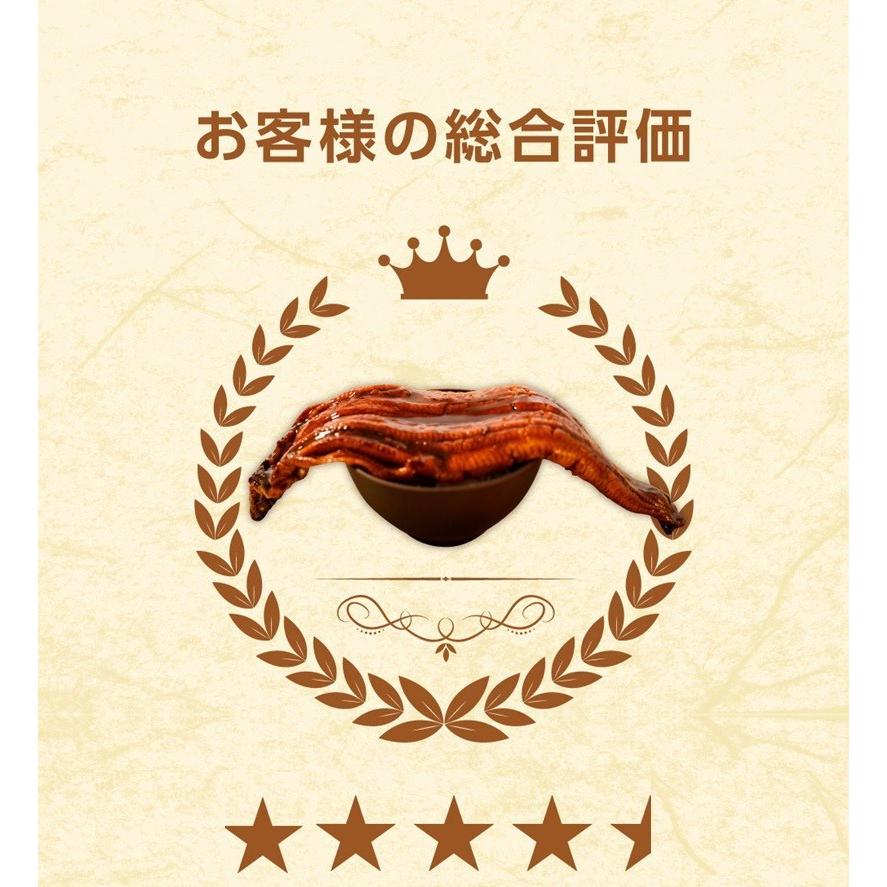 うなぎ蒲焼 切身カット 100g×5P 訳あり 真空パック 自社加工 土用 丑の日 ギフト うなぎ ウナギ 鰻 歳末 お歳暮 年末グルメ 贈答 迎春 | おさかな問屋 魚奏 | 05