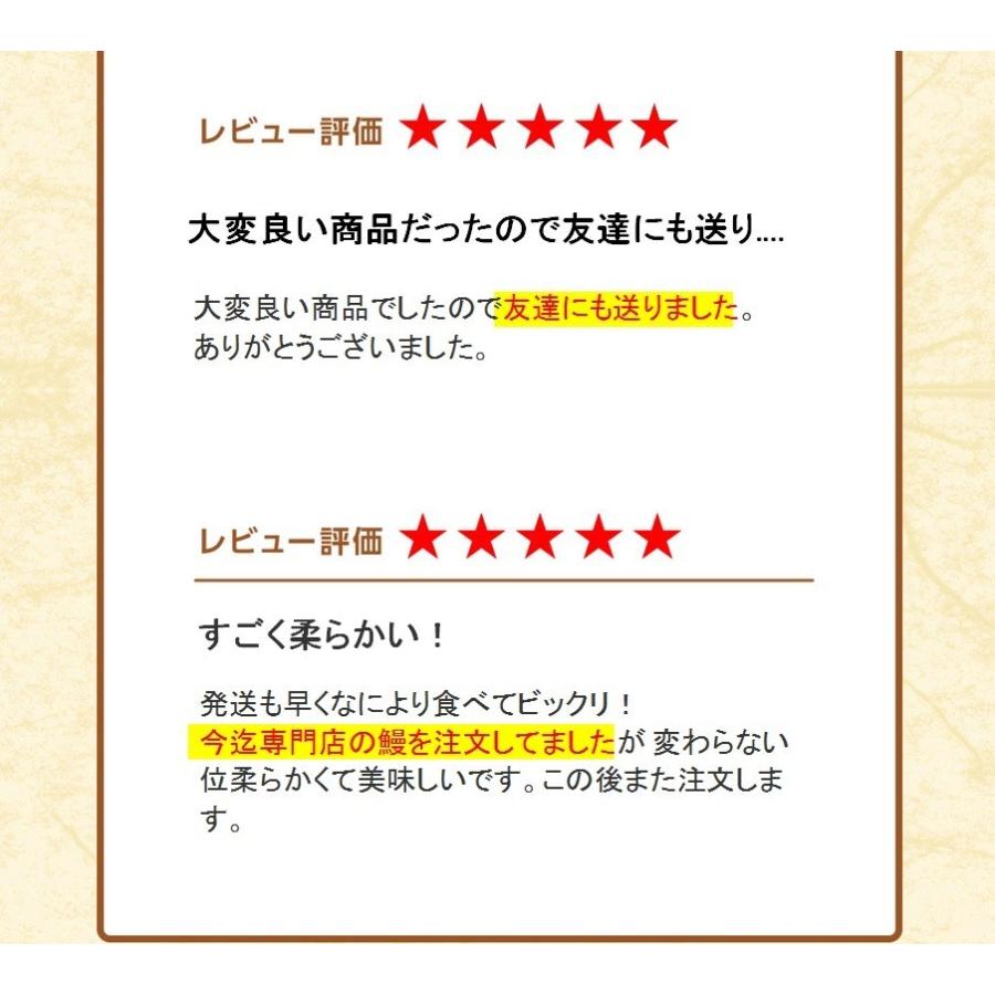 うなぎ蒲焼 切身カット 100g×5P 訳あり 真空パック 自社加工 土用 丑の日 ギフト うなぎ ウナギ 鰻 歳末 お歳暮 年末グルメ 贈答 迎春 | おさかな問屋 魚奏 | 07
