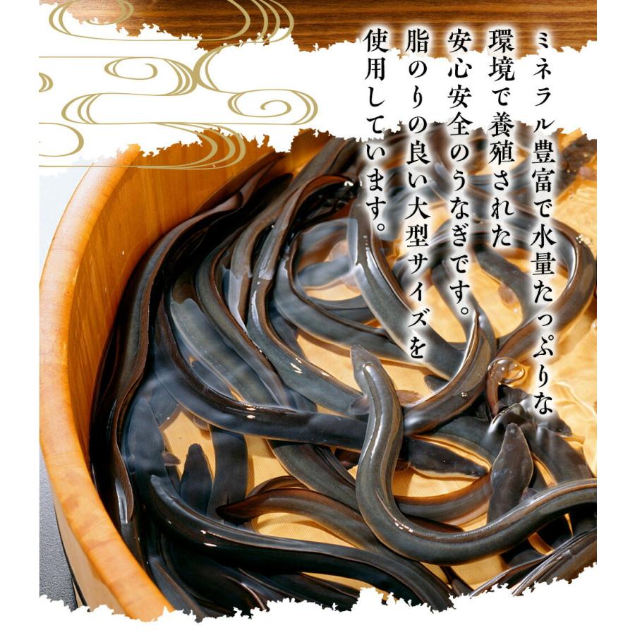 刻みうなぎ 1kg 炭火焼 蒲焼 訳あり きざみ 切り落し 端材 ウナギ 鰻 在宅応援 母の日 父の日 敬老 歳末 お歳暮 年末グルメ 贈答 迎春 | おさかな問屋 魚奏 | 06