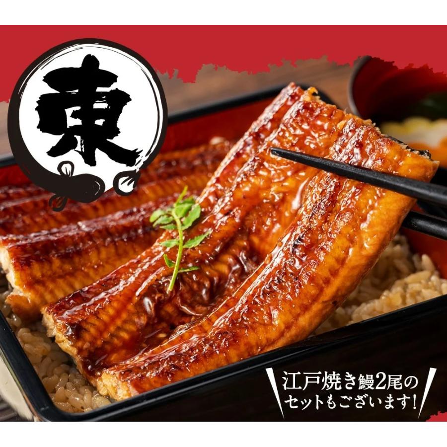 東西うなぎ食べ比べセット 特大サイズ 約160〜170g×2尾 国産うなぎ 蒲焼 土用 丑の日 お試し 歳末 お歳暮 年末グルメ 贈答 迎春 | おさかな問屋 魚奏 | 03