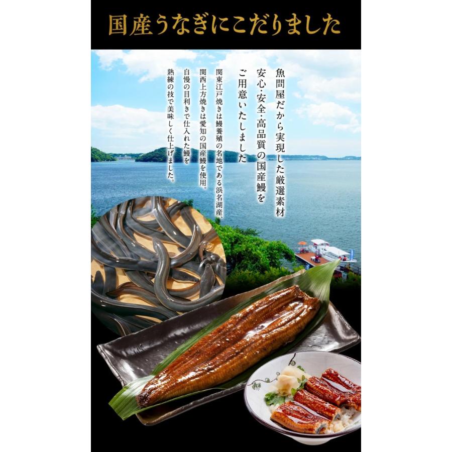東西うなぎ食べ比べセット 特大サイズ 約160〜170g×2尾 国産うなぎ 蒲焼 土用 丑の日 お試し 歳末 お歳暮 年末グルメ 贈答 迎春 | おさかな問屋 魚奏 | 09