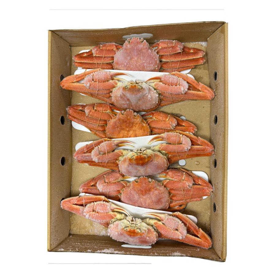 ケース販売限定特価 北海道産 浜茹で オオズワイガニ 姿 メガ盛り 4kg6尾 特大サイズ 蟹 カニ 蟹 歳末 お歳暮 年末グルメ 贈答 迎春 | おさかな問屋 魚奏 | 20