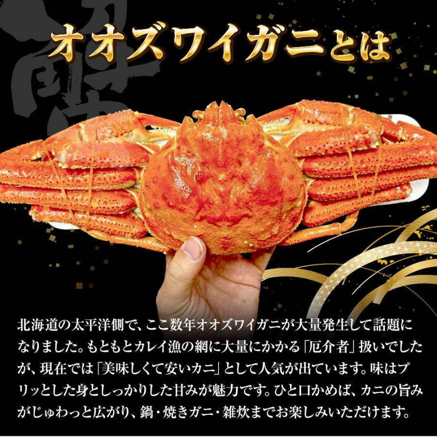 ケース販売限定特価 北海道産 浜茹で オオズワイガニ 姿 メガ盛り 4kg6尾 特大サイズ 蟹 カニ 蟹 歳末 お歳暮 年末グルメ 贈答 迎春 | おさかな問屋 魚奏 | 07