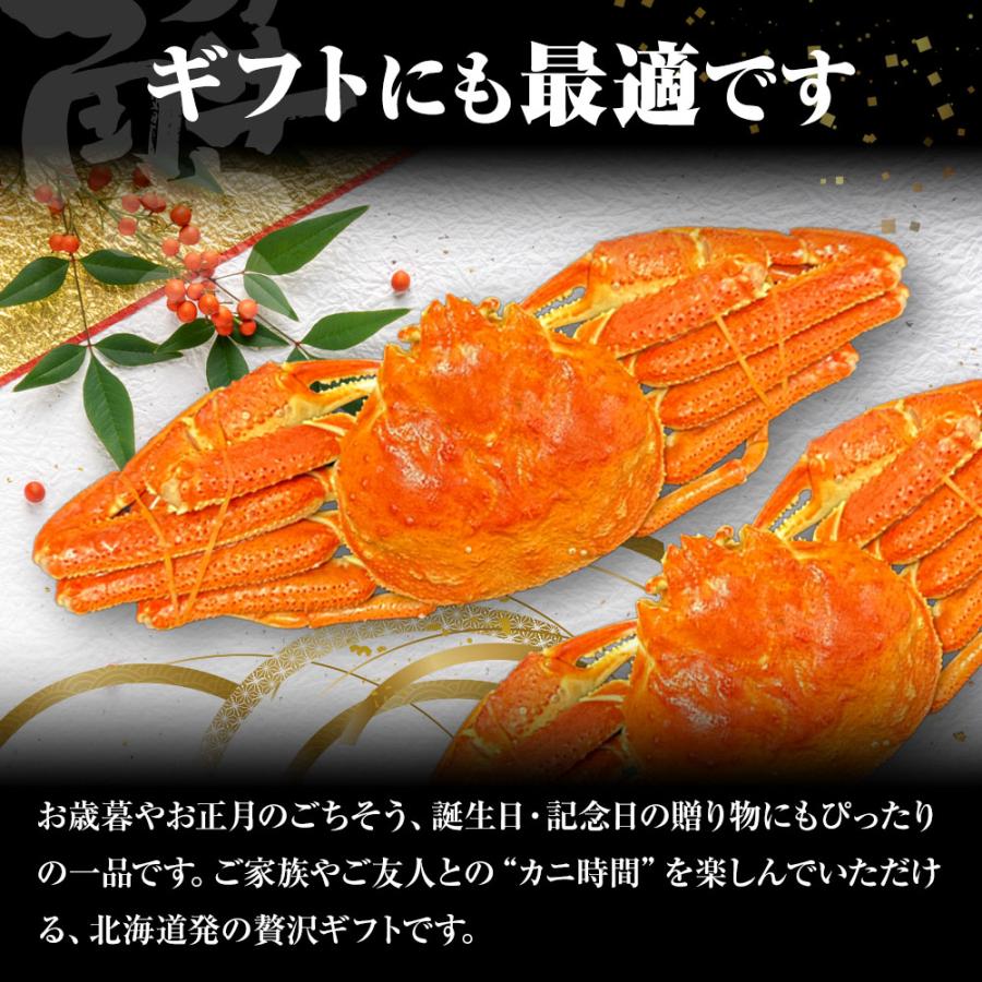 ケース販売限定特価 北海道産 浜茹で オオズワイガニ 姿 メガ盛り 4kg6尾 特大サイズ 蟹 カニ 蟹 歳末 お歳暮 年末グルメ 贈答 迎春 | おさかな問屋 魚奏 | 09