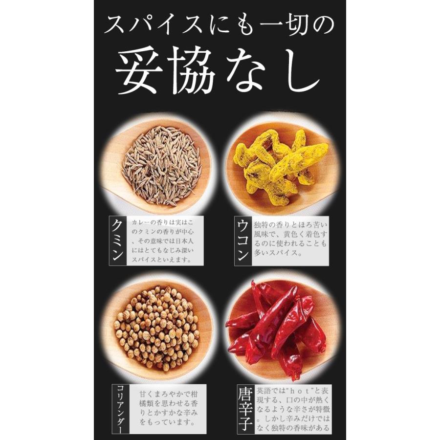 食研カレー 日本食研 200g×4袋 欧風ビーフカレー メール便 レトルト 買い置き 在宅 夜食｜uosou｜09