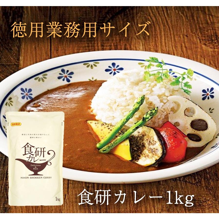 食研カレー 日本食研 1kg×12袋 欧風ビーフカレー 業務用 レトルト 買い置き 在宅 備蓄 災害 非常食 歳末 お歳暮 年末グルメ 贈答 迎春 | 日本食研 | 14