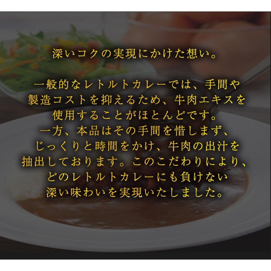 食研カレー 日本食研 200g×30袋 欧風ビーフカレー 徳用 ケース販売 業務用 レトルトカレー 買置 在宅 歳末 お歳暮 年末グルメ 贈答 迎春 | 日本食研 | 04