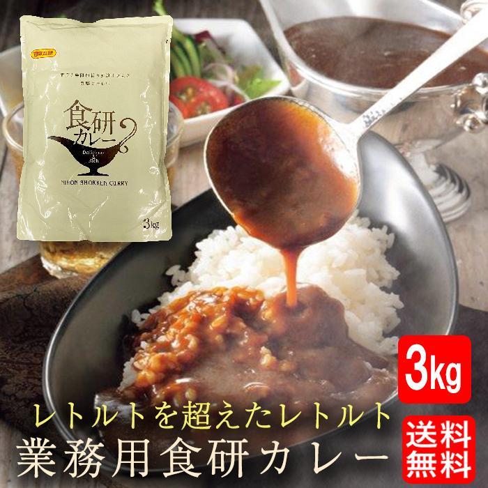 食研カレー 日本食研 3kg 欧風ビーフカレー 大容量 業務用 レトルト ケース販売 災害 非常食 備蓄 歳末 お歳暮 年末グルメ 贈答 迎春 | 日本食研