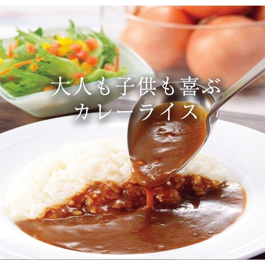 食研カレー 日本食研 3kg 欧風ビーフカレー 大容量 業務用 レトルト ケース販売 災害 非常食 備蓄 歳末 お歳暮 年末グルメ 贈答 迎春 | 日本食研 | 13