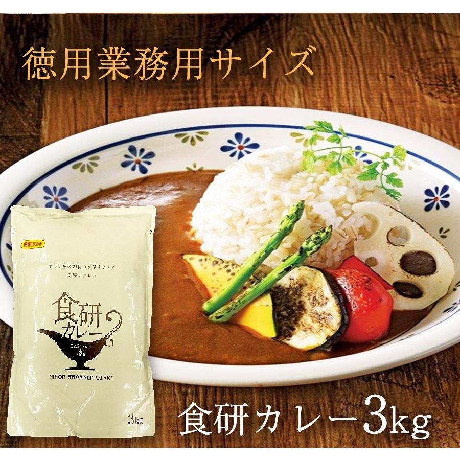 食研カレー 日本食研 3kg 欧風ビーフカレー 大容量 業務用 レトルト ケース販売 災害 非常食 備蓄 歳末 お歳暮 年末グルメ 贈答 迎春 | 日本食研 | 14