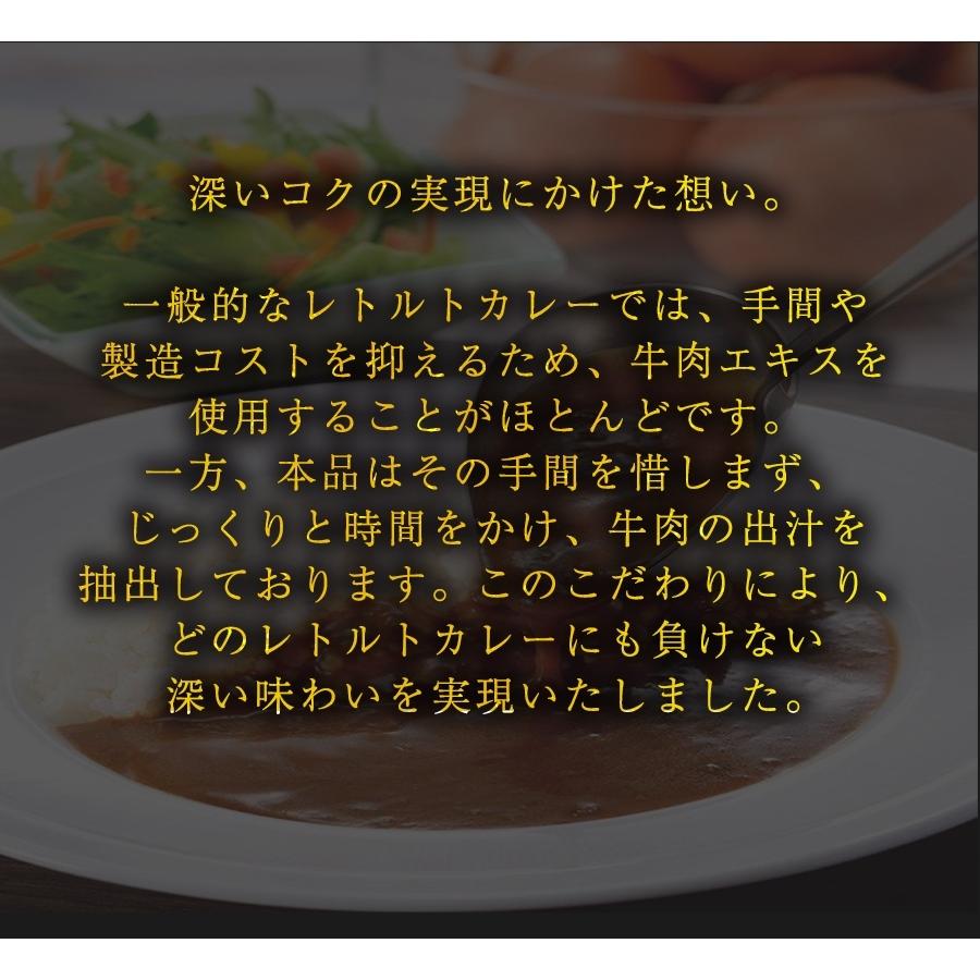 食研カレー 日本食研 3kg 欧風ビーフカレー 大容量 業務用 レトルト ケース販売 災害 非常食 備蓄 歳末 お歳暮 年末グルメ 贈答 迎春 | 日本食研 | 04