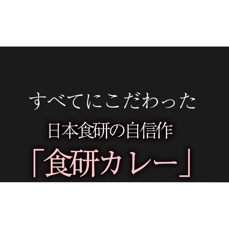 食研カレー 日本食研 3kg×4袋 欧風ビーフカレー 大容量 業務用 レトルト ケース販売 買い置き災害 母の日 父の日 敬老 中元 ギフト | 日本食研 | 08