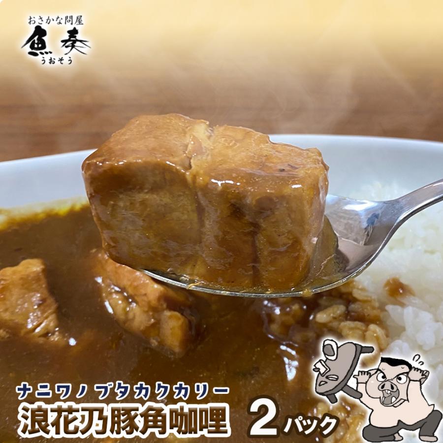 浪花乃豚角カリー ナニワノブタカクカリー 2パック 260g×2袋 レトルト カレー メール便 豚角煮 歳末 お歳暮 年末グルメ 贈答 迎春 | おさかな問屋 魚奏 | 13