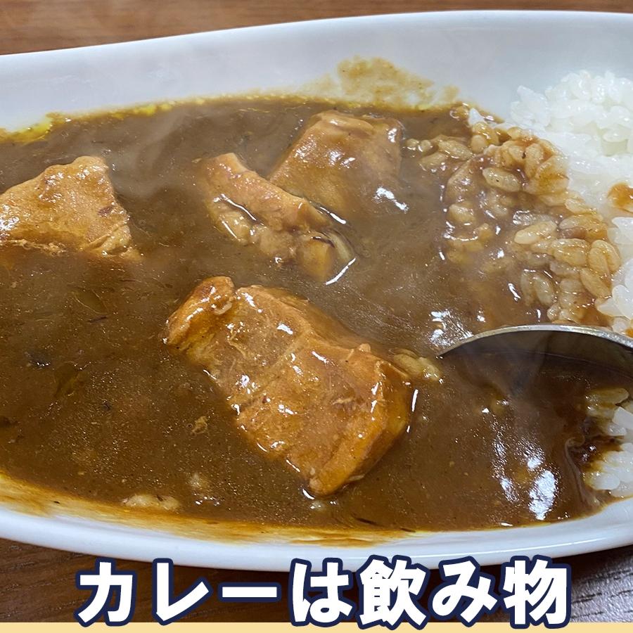 浪花乃豚角カリー ナニワノブタカクカリー 2パック 260g×2袋 レトルト カレー メール便 豚角煮 歳末 お歳暮 年末グルメ 贈答 迎春 | おさかな問屋 魚奏 | 05