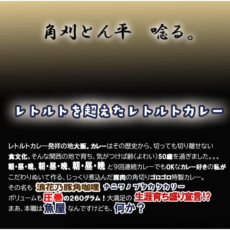浪花乃豚角カリー ナニワノブタカクカリー 8個 260g×8パック レトルト カレー 買い置き ケース買い 歳末 お歳暮 年末グルメ 贈答 迎春 | おさかな問屋 魚奏 | 02